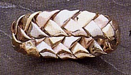 316310